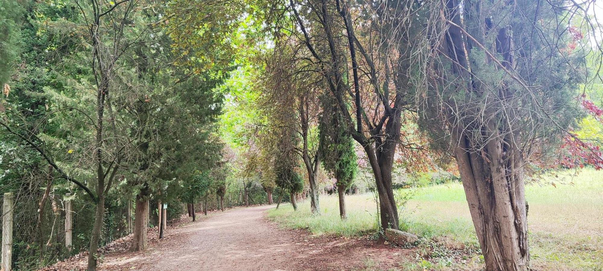AviáPiso Rural Sol Berguedaアパートメント エクステリア 写真